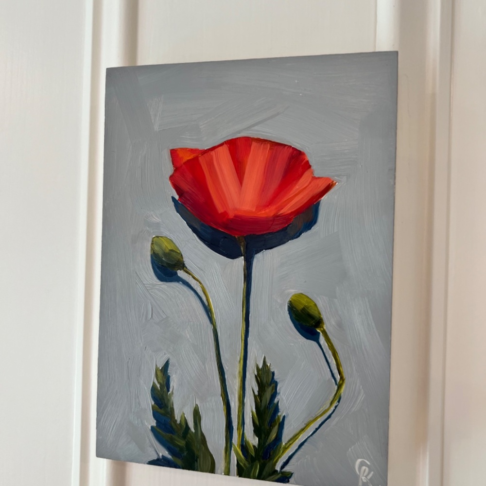 Red Poppy - Picture 4 of 6